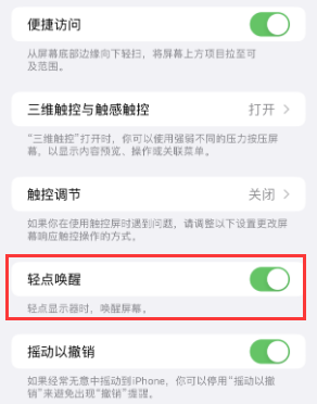 桐柏苹果授权维修站分享iPhone轻点无法唤醒怎么办