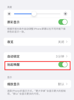 桐柏苹果授权维修站分享iPhone轻点无法唤醒怎么办