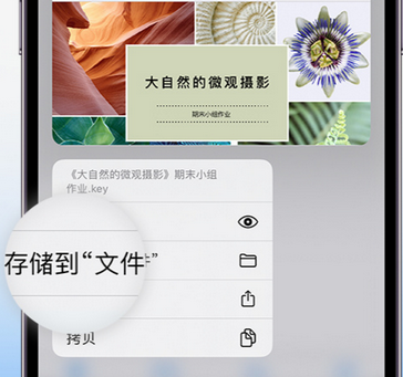 桐柏apple维修中心分享iPhone文件应用中存储和找到下载文件