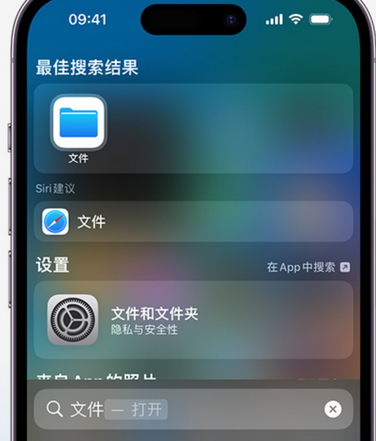 桐柏apple维修中心分享iPhone文件应用中存储和找到下载文件 