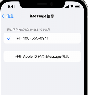 桐柏apple维修iPhone上无法正常发送iMessage信息 