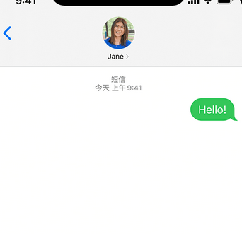 桐柏apple维修iPhone上无法正常发送iMessage信息