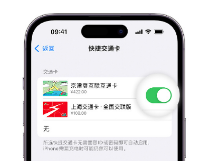 桐柏apple维修点分享iPhone上更换Apple Pay快捷交通卡手绘卡面 