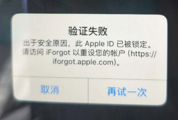 桐柏iPhone维修分享iPhone上正常登录或使用AppleID怎么办 