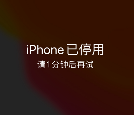 桐柏苹果手机维修分享:iPhone 显示“不可用”或“已停用”怎么办？还能保留数据吗？ 