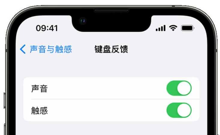 桐柏苹果手机维修分享iPhone 14触感键盘使用方法 