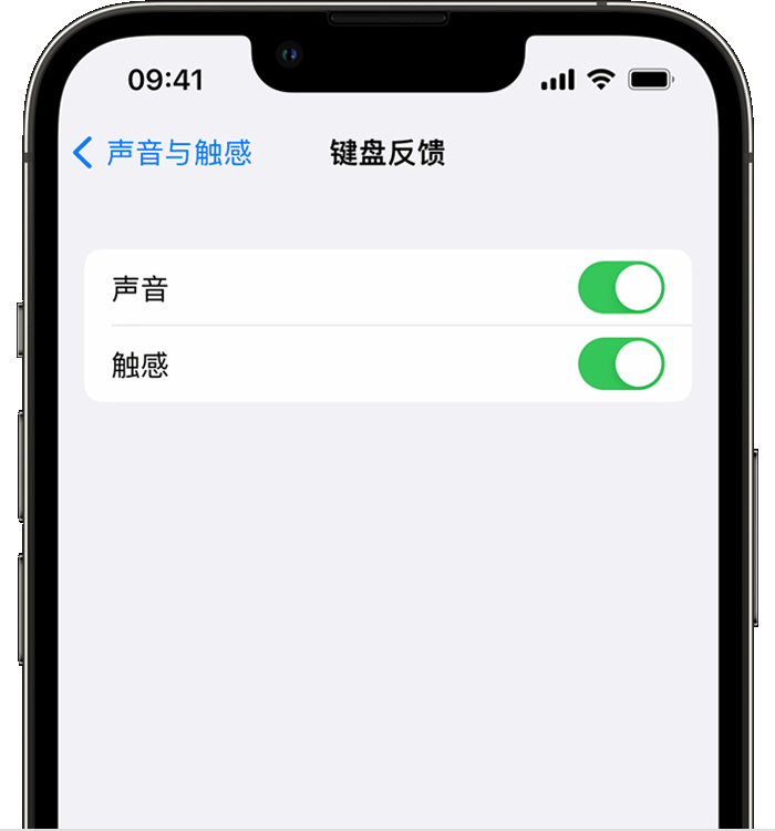 桐柏苹果14维修店分享如何在 iPhone 14 机型中使用触感键盘 