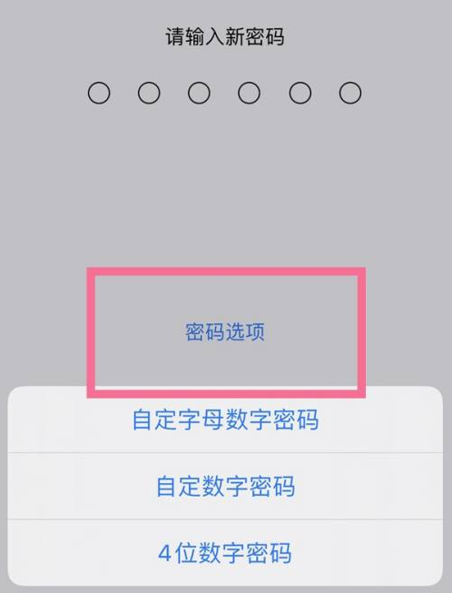 桐柏苹果14维修分享iPhone 14plus设置密码的方法 