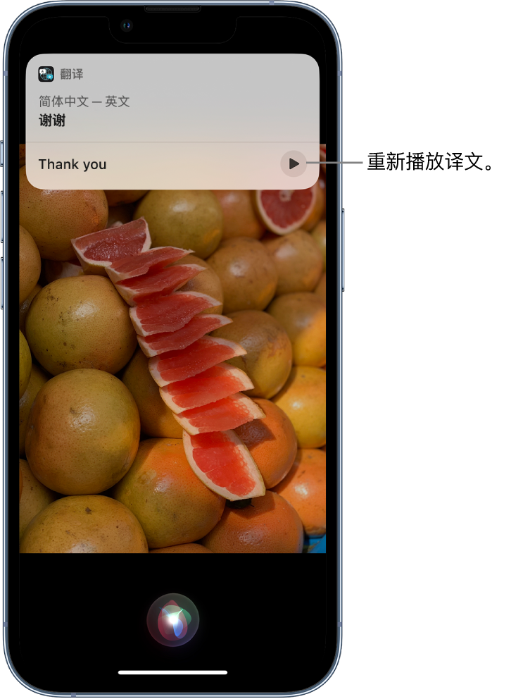 桐柏苹果14维修分享 iPhone 14 机型中使用 Siri：了解 Siri 能帮你做什么 