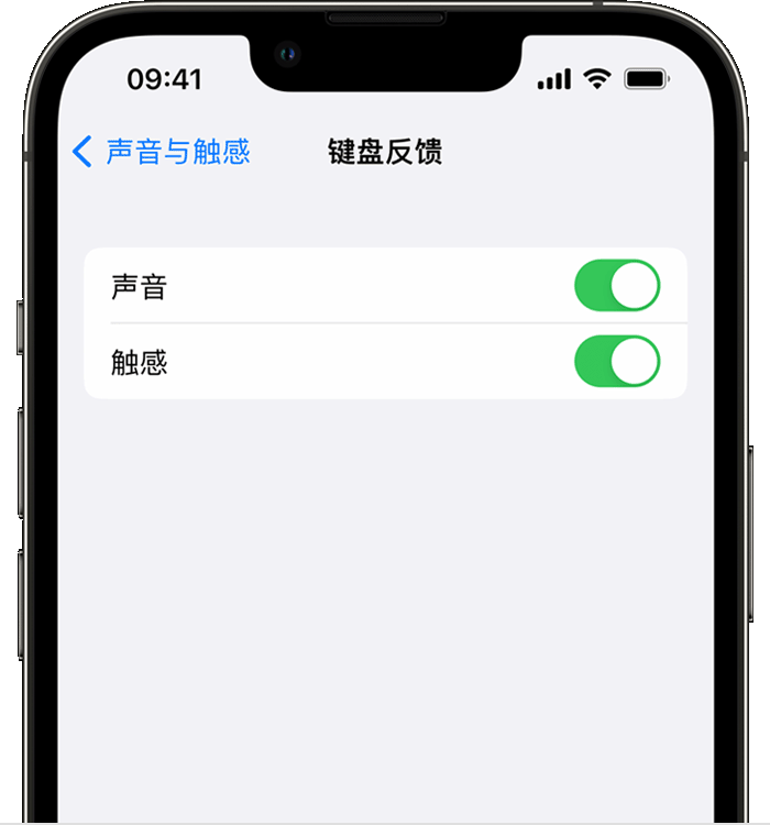 桐柏苹果14维修分享iPhone 14 系列机型如何开启键盘声音或触感反馈 