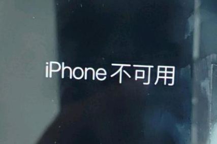 桐柏苹果服务网点分享锁屏界面显示“iPhone 不可用”如何解决 