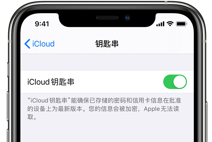 桐柏苹果手机维修分享在 iPhone 上开启 iCloud 钥匙串之后会储存哪些信息 