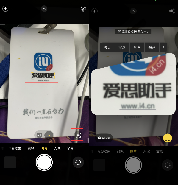 桐柏苹果手机维修分享升级iOS 16后如何通过相机翻译文本 
