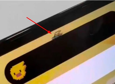 桐柏苹果14维修分享iPhone 14 Pro Max灵动岛怎么养宠物 