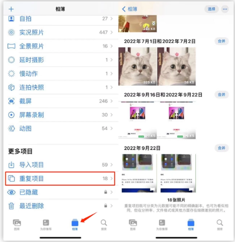 桐柏苹果手机维修分享iOS 16 中相册重复项目功能使用方法 