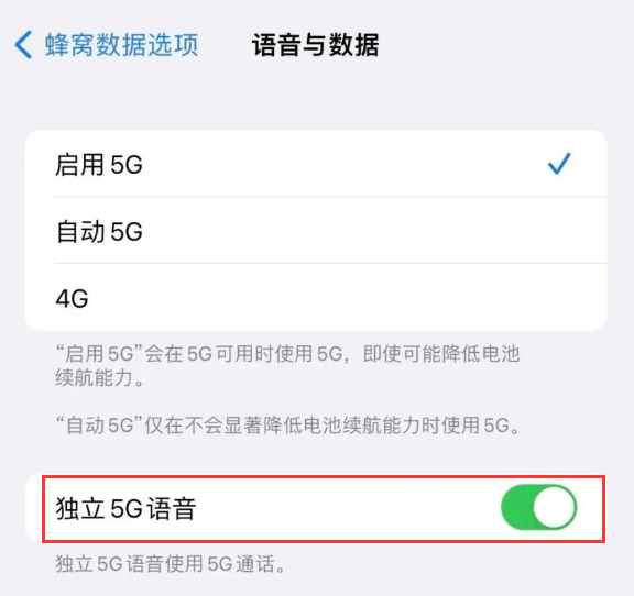桐柏苹果14维修分享iPhone 14 Pro如何开启VoNR 