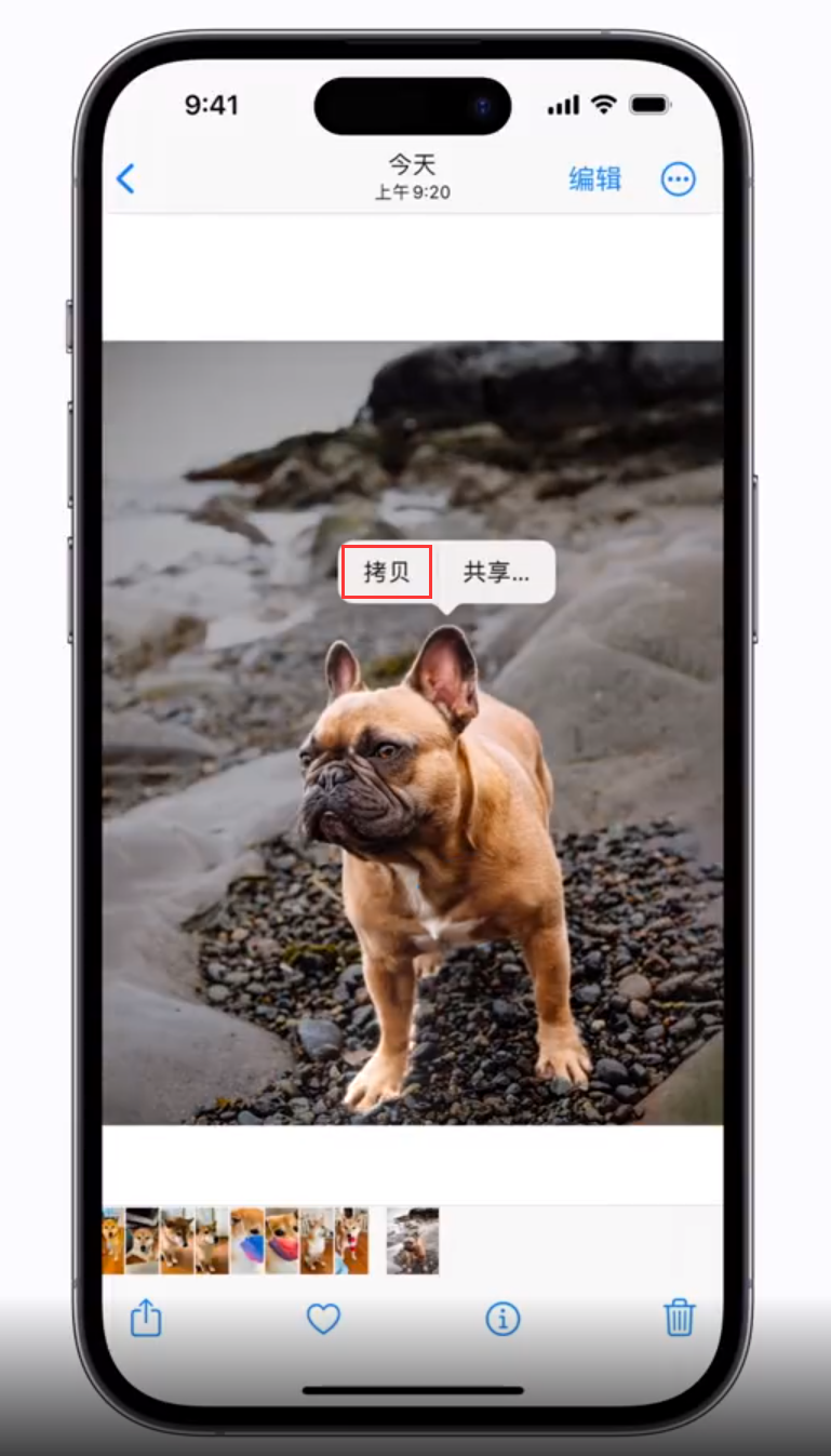 桐柏苹果手机维修分享 iOS 16 自带一键抠图功能 