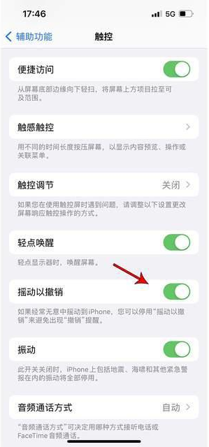 桐柏苹果手机维修分享iPhone手机如何设置摇一摇删除文字 