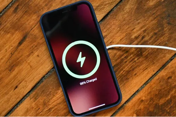 桐柏苹果手机维修分享iPhone如何正确充电 