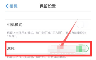 桐柏苹果13维修分享iPhone13拍照有绿点是怎么回事 