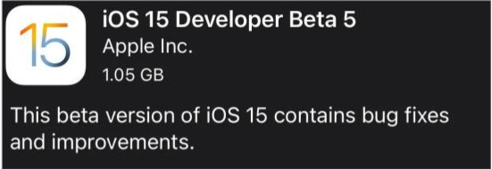 桐柏苹果手机维修分享如何升级到iOS15.0 beta5 