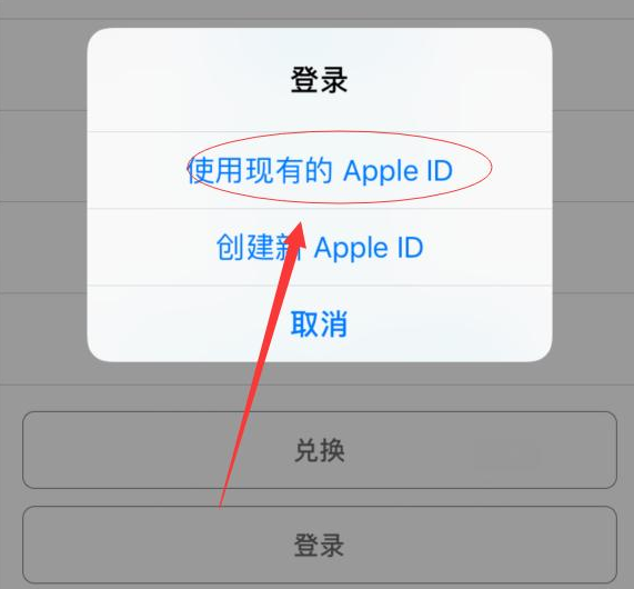 桐柏苹果手机维修分享两台iPhone设备可以同时登录一个Apple ID吗 