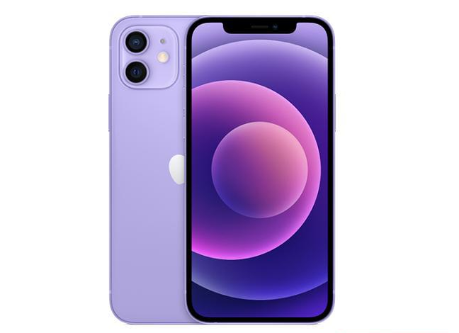 桐柏苹果手机维修分享现阶段要不要入手紫色版iPhone12 