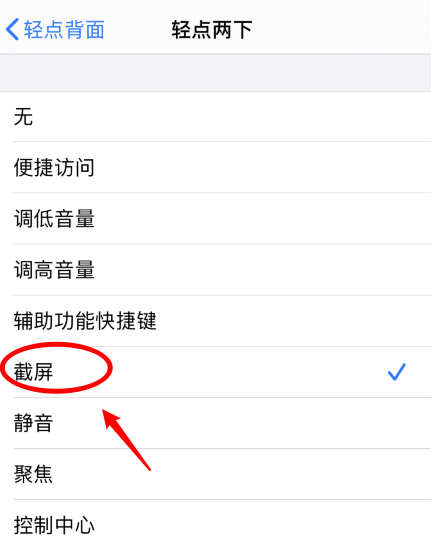 桐柏苹果手机维修分享iPhone12如何启用双击截屏 
