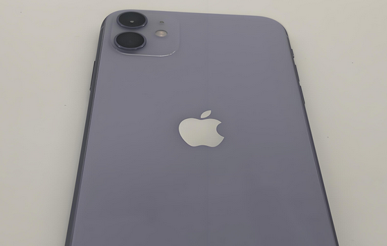 桐柏苹果11系统维修分享iPhone11手机系统崩溃无法开机如何解决 