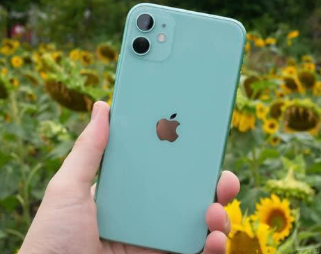 桐柏苹果维修点分享iPhone 11锁屏密码认知与使用科普 